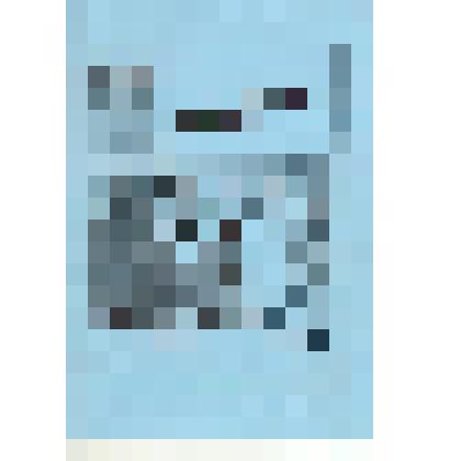 Брошюра "Семья, где творит любовь": сборник статей. Сборник посвящен династии работников культуры - семье Рыбиных из Каменского района Алтайского края