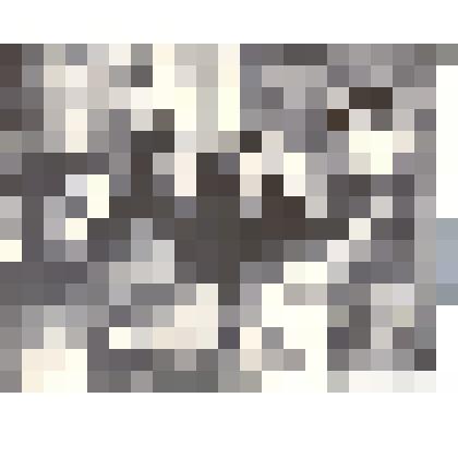 Фотография: встреча пионеров 3 класса школы №11 с ветераном Великой Отечественной войны Ефимом Ивановичем Жуковым в Каменском краеведческом музее