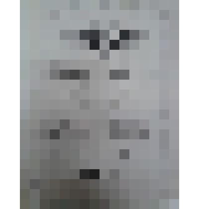 Нотное издание: "Романсы и песни"