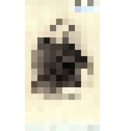 Фотография черно-белая. Дубровский Сергей Николаевич