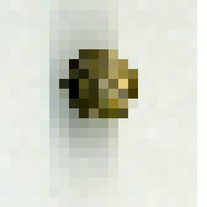 Пуговица для одежды