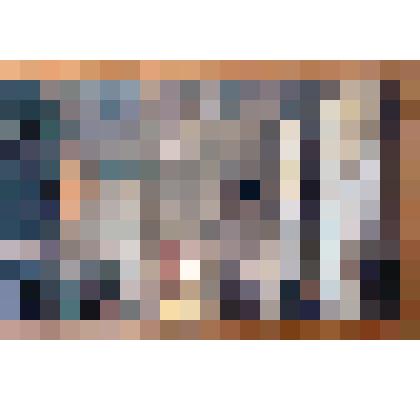 Цветная открытка "Архангельское. Дворец. Античный зал" из комплекта открыток "Архангельское" в обложке