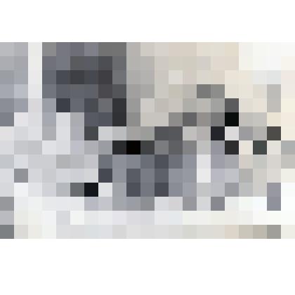 Фотография Талыкова П.И. и Андреева П.Н