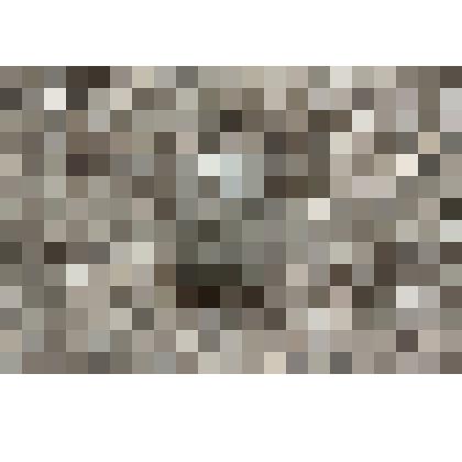 Значок: Ульянов