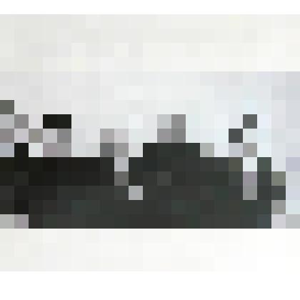 Фотография. Ветераны революции