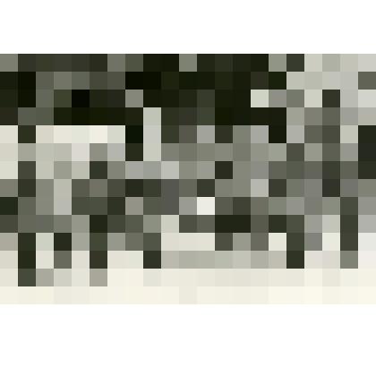 Групповой снимок. Люди в военной форме  у знамён