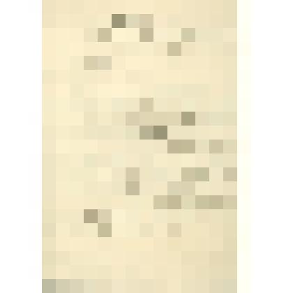 Рукопись  Журнал (протокол) торжественного собрания Сольвычегодского отделения Совета Велико-Устюжского Стефано-Прокопьевского  Братства. 