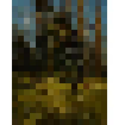 Сосновый бор