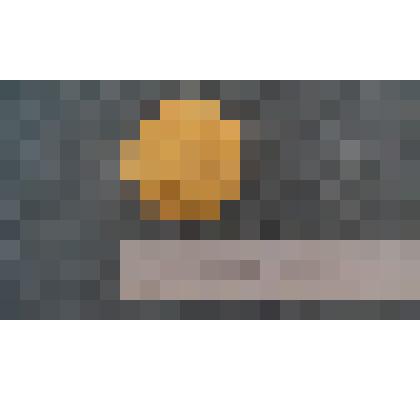 Медаль первенство СССР по лыжам среди ветеранов Лобынцева Николая Яковлевича