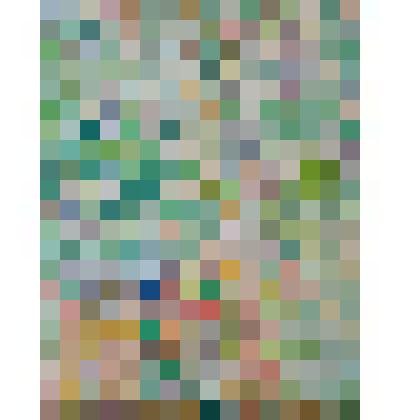 Натюрморт под яблонькой