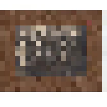 Ф/чб/п. Совещание по экономике АССР НП (групповой портрет). Покровск. 1920-1930-е гг