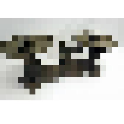 Весы рычажные "ВЕБЕРЪ ДЕНЕ и Ко". Тарелка