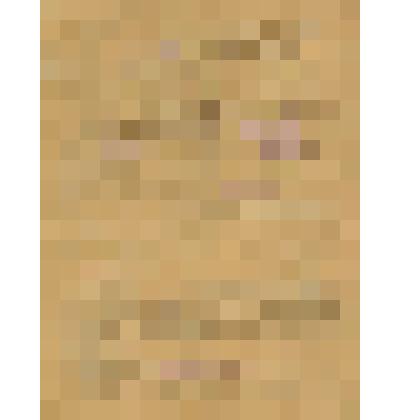 Трудовой договор между начальником паровозного депо Фаянсовая Хвостовым Ф. Т. и кочегаром паровоза Фокиным В. А