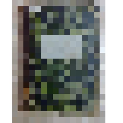 Журнал "Исторический вестник", март 1896 г