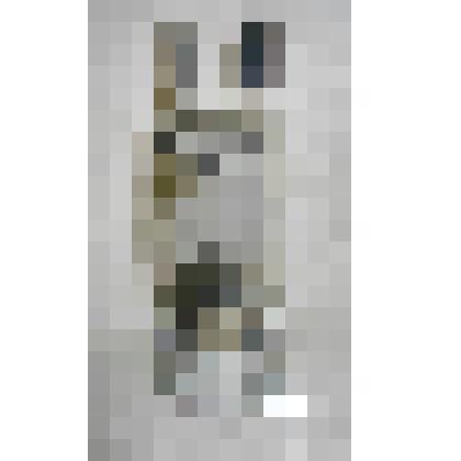 Генераторная лампа "ГУ-80"