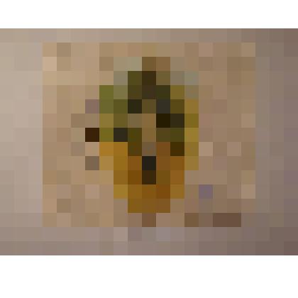 Обертка от конфеты «ЛевТолстой»