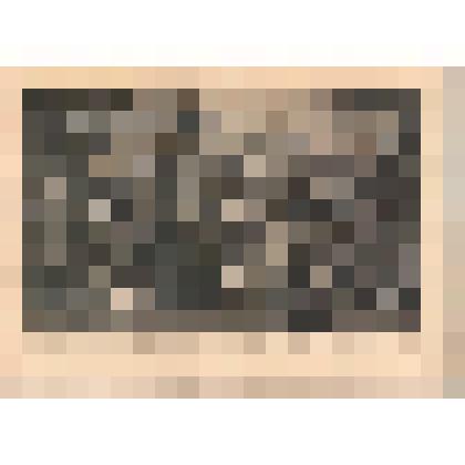 L'apotheose d'Henri IV et la regence de la Reine