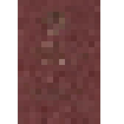 Книжка орденская  Серии А №119358 к Ордену Красной Звезды и Отечественной войны II степени НА имя Курмаева Н.Л