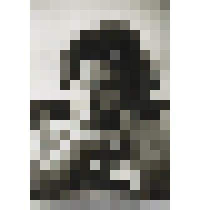 Фото Волошина М.А., анфас: оперся подбородком на кисть правой руки