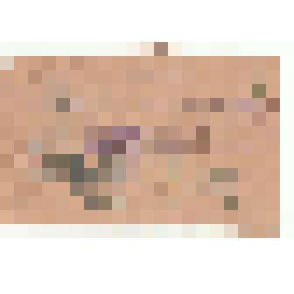 Удостоверение № 3162 