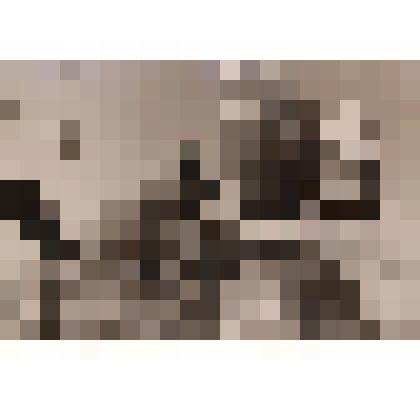 Фотография, сюжетная, черно-белая