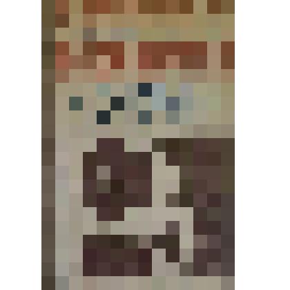 Книга "Ташкент, город хлебный"