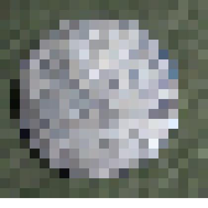 Монета "Один полтинник 1924 г " Россия