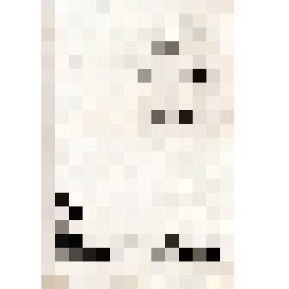 Материал технико-экономических исследований к схеме нового города Энгельса. Т.2. Саратовский краевой государственный НИИ градостроительства "Крайгипрогор"