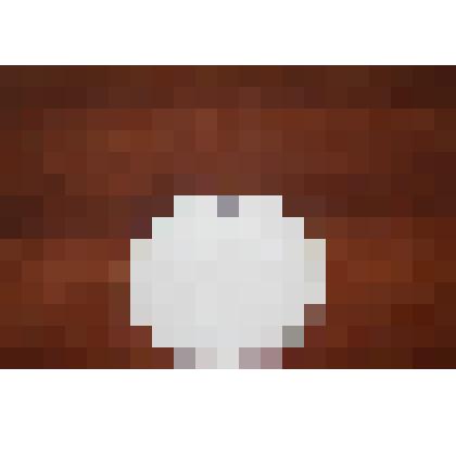 Зеркало карманное