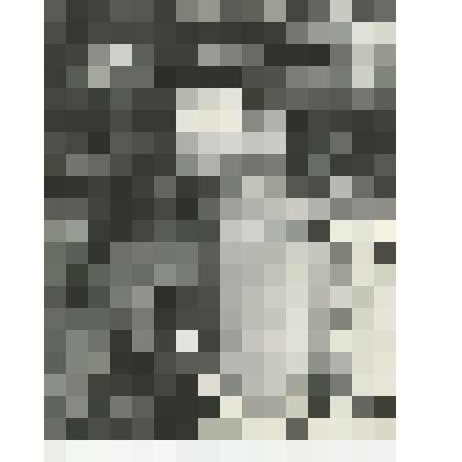 Фотография ч/б. Губарев А.А., подполковник авиации