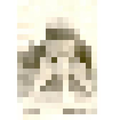 Фотография:мемориальная плита, установленная на месте приземления женщины-космонавта Терешковой Валентины Владимировны в 1963 году в Баевском районе Алтайского края