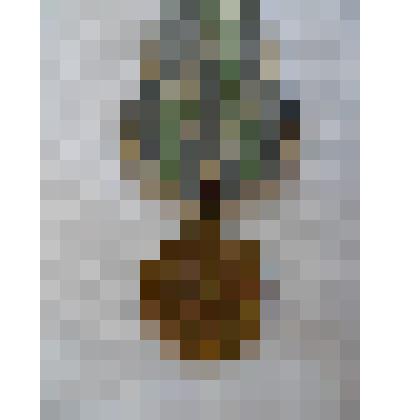 Медаль «За оборону Советского Заполярья»  Сукиашвили Е.М