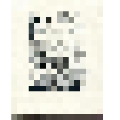 "Демонстрация в Китае". Рисунок