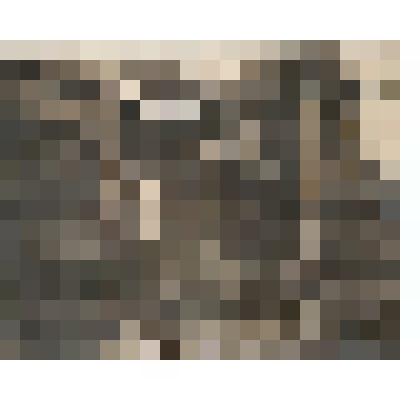 Ф/чб. Метеорологическая станция г. Марксштадт. АССРНП. 1932