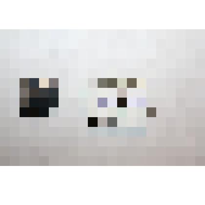 Значок "Отличник социалистического соревнования НК РФ". Принадлежал: Курочкину А. А