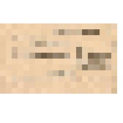 Документ. Выписка из протокола № 25 бюро Уфалейского РК ВКП (б) о выпуске районной газеты Горнового Н.И