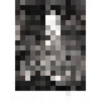 Портрет И.М.Прянишникова.1896. По собственному живописному оригиналу (1883)