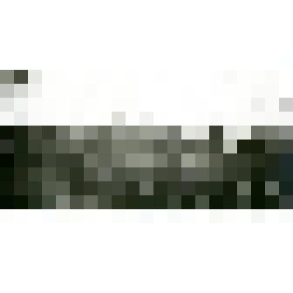 Фотография. Старые лесные пожарище, вблизи р. Тукулан