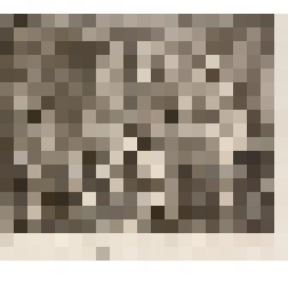 Женитьба на богатой. Лист  V из серии "Карьера мота". 1735, из альбома «The Works of William Hogarth»