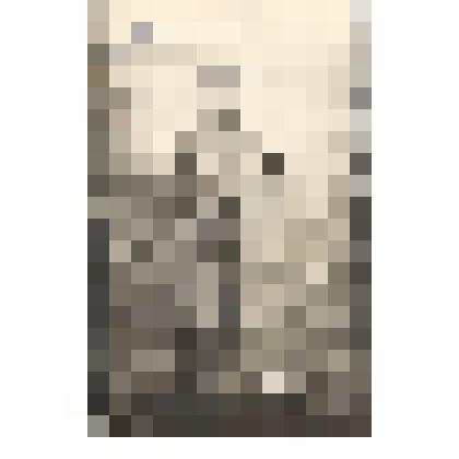 Фотография. Сонин Михаил Павлович - отец Вениамина, участник гражданской войны