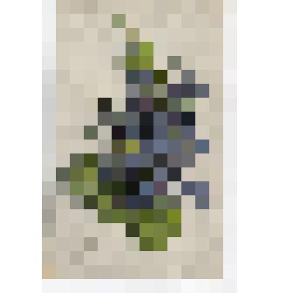 Открытое письмо  «Букетик фиалок»