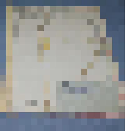 Ботаническая коллекция. Желтушник левкойный, семейство крестоцветные, на гербарном листе, шахта, лог по северному склону горы. C. Crucifarae P. Erysiferae B. cheiranthoides Z