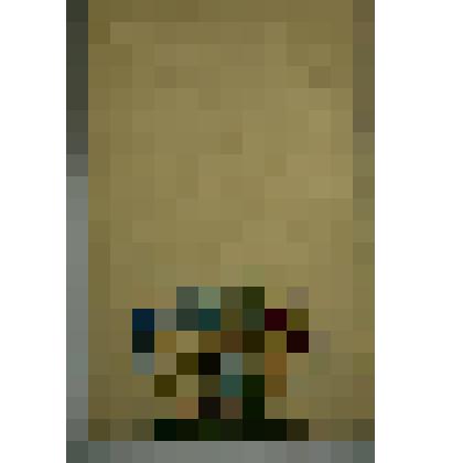 Герб рода Толстых