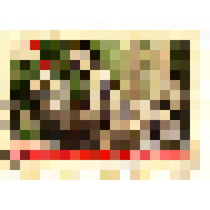 Марка «90 лет со дня рождения В.И.Ленина». Почта СССР. 1960 г