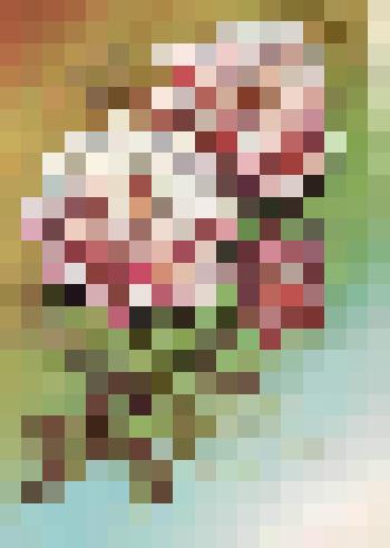 Открытка поздравительная