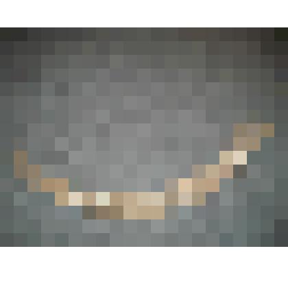 Бивень мамонтенка