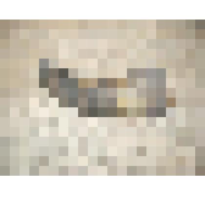 Рог-табакерка