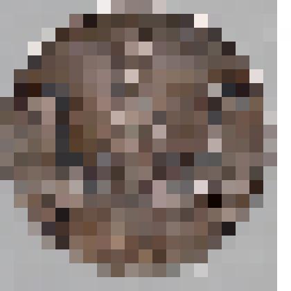 Знак Медаль с надписью  Sowjetisches ehrenmal Berlin