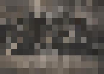 Фотография. Участники районной комсомольской конференции