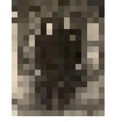 Фотография. Грибачев Георгий Георгиевич с женой